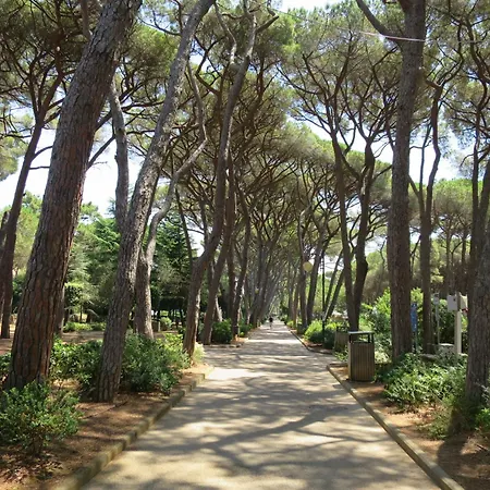Gianmaria-3 By Interhome Castiglioncello